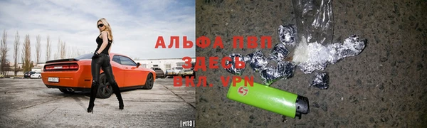 спиды Магас