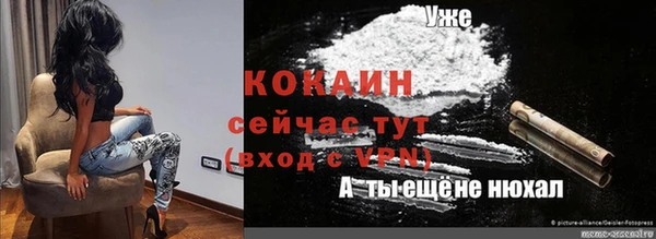 спиды Магас