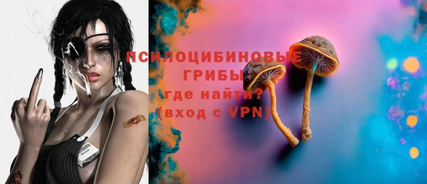 спиды Магас