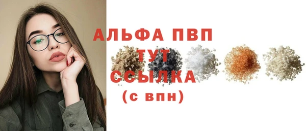 спиды Магас