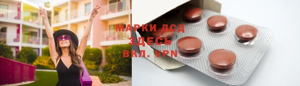 спиды Магас