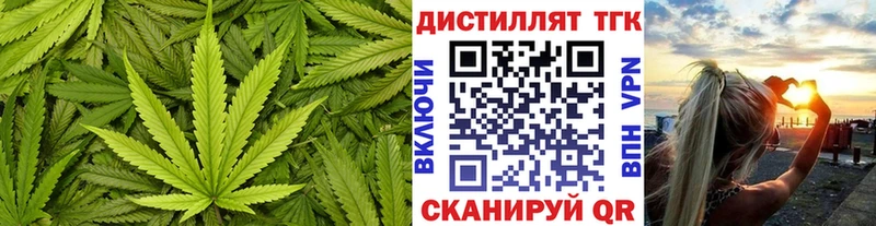 Купить где  Азнакаево  ТГК концентрат 