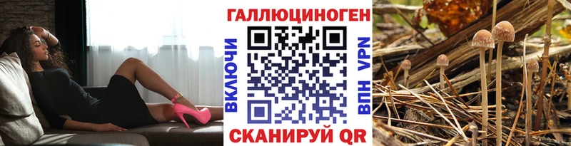 Купить где  Азнакаево  Псилоцибиновые грибы ЛСД 